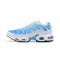 Nike Air Max Plus Tn Pánské Modrá Bílá 852630-411 Obuv