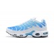 Nike Air Max Plus Tn Pánské Modrá Bílá 852630-411 Obuv