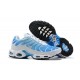 Nike Air Max Plus Tn Pánské Modrá Bílá 852630-411 Obuv