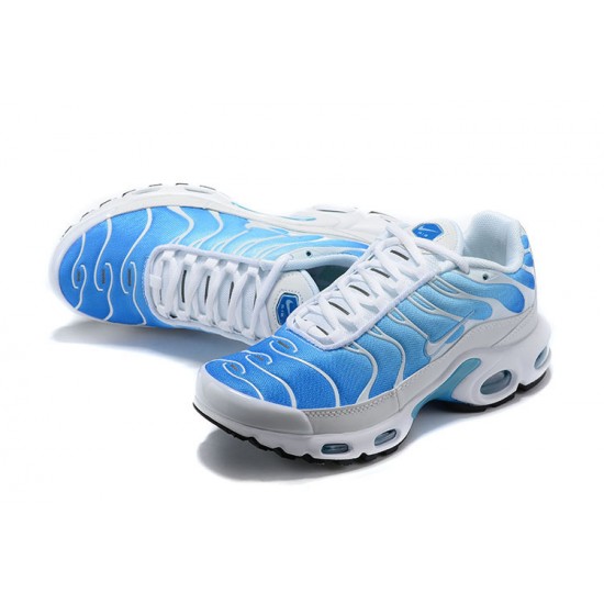 Nike Air Max Plus Tn Pánské Modrá Bílá 852630-411 Obuv