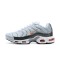 Nike Air Max Plus Tn Pánské Crater Šedá DA1500-100 Obuv