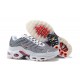 Nike Air Max Plus Tn Pánské Šedá možná Bílá Obuv