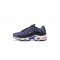 Nike Air Max Plus Tn Pánské Fialová Černá CD0609-024 Obuv