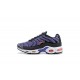 Nike Air Max Plus Tn Pánské Fialová Černá CD0609-024 Obuv
