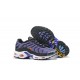 Nike Air Max Plus Tn Pánské Fialová Černá CD0609-024 Obuv