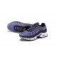 Nike Air Max Plus Tn Pánské Fialová Černá CD0609-024 Obuv