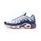 Nike Air Max Plus Tn Pánské QS Bílá Modrá možná Červená Obuv